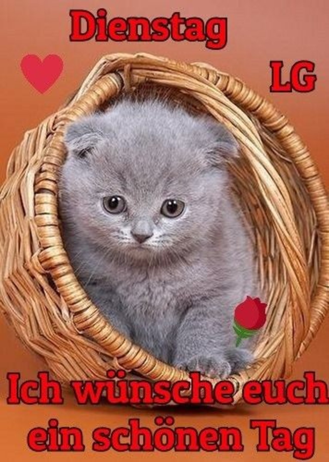 Котята в корзинке картинки
