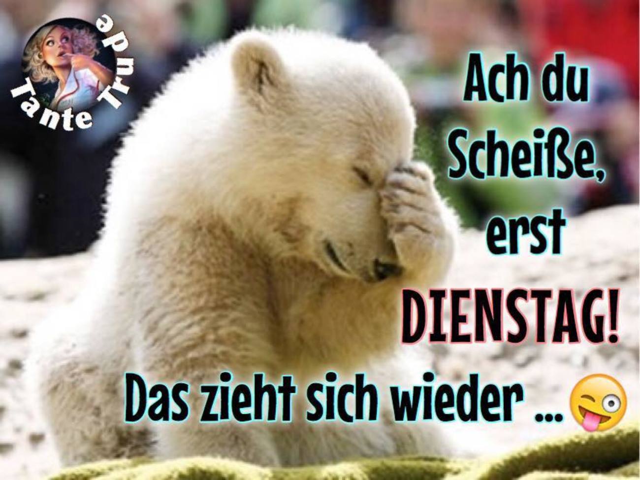 Du Bist Ja Schon Wach Dann Mal Schonen Dienstag Lustige