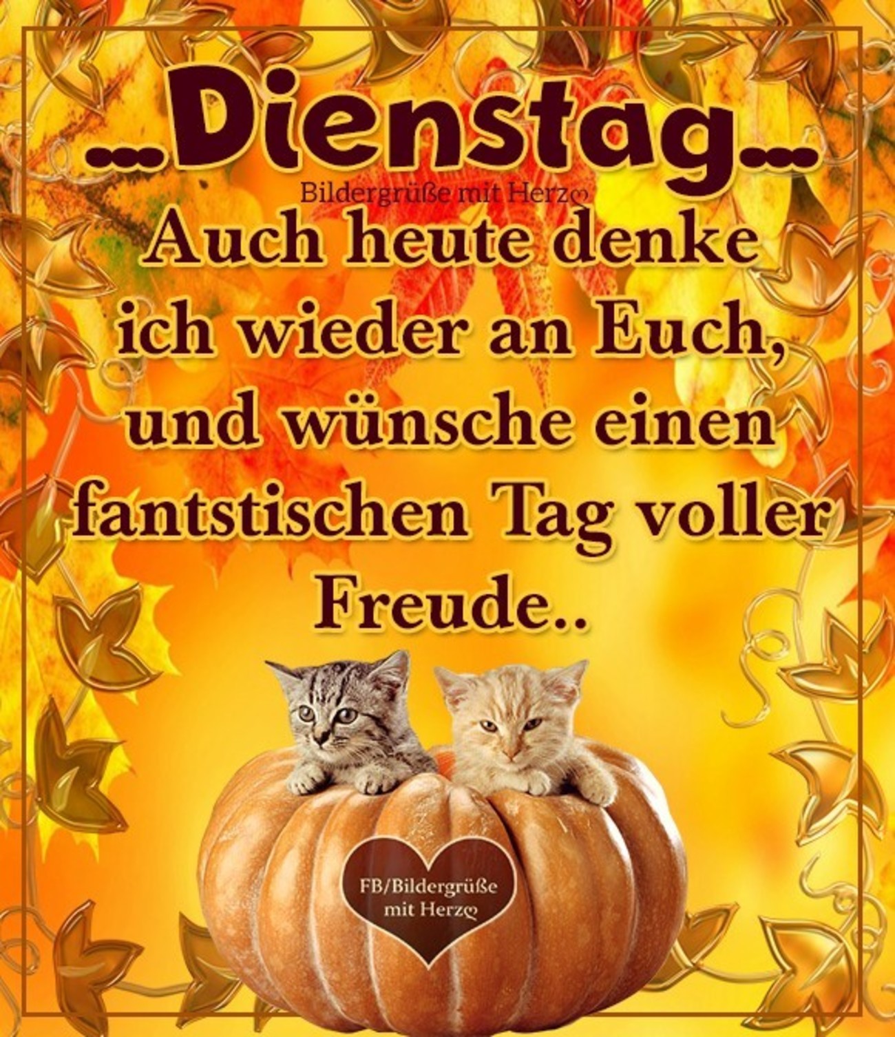 Schonen Dienstag Herbst 28 Gbpicsbilder Com