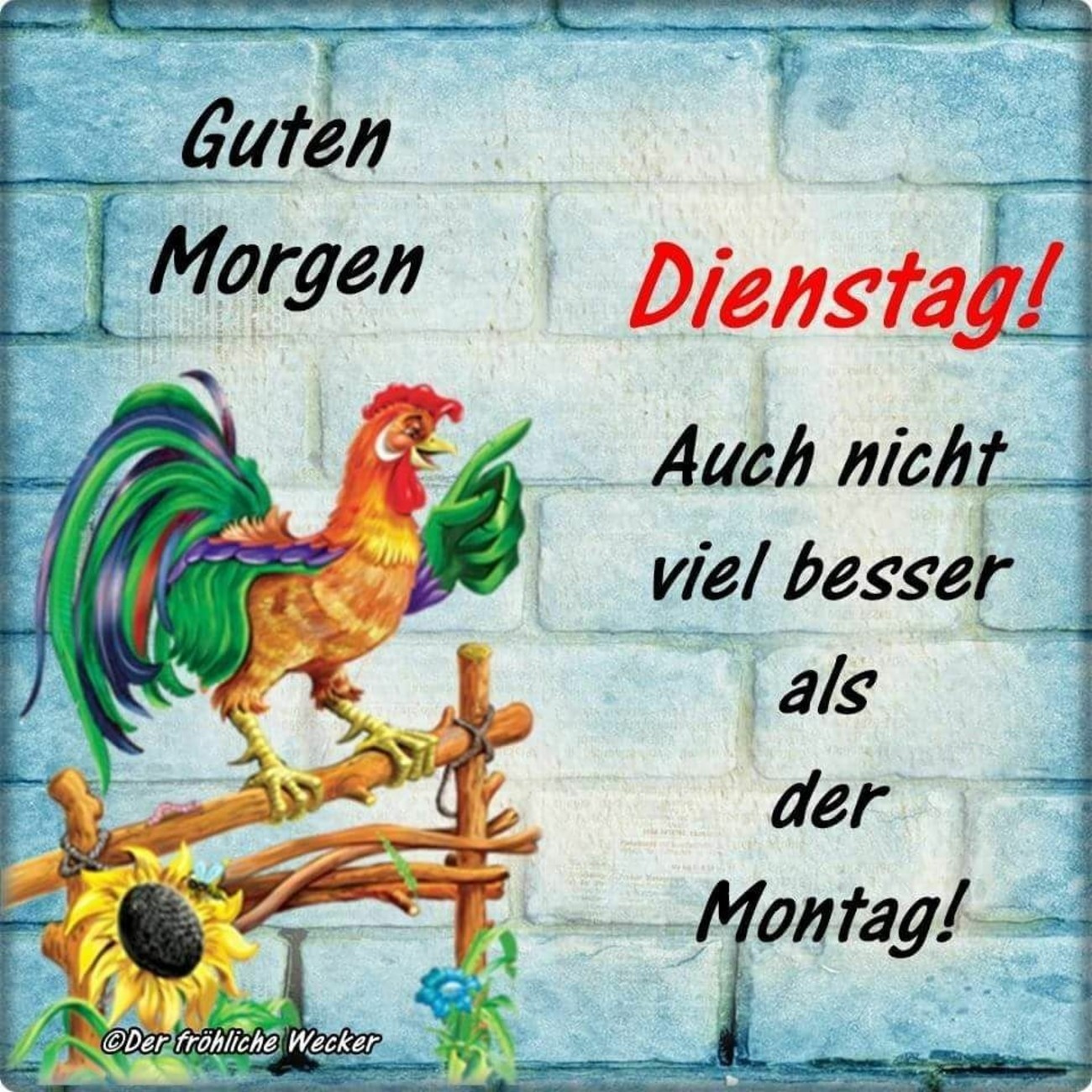 Schönen Dienstag kostenlos bilder 148 - GBPicsBilder.com