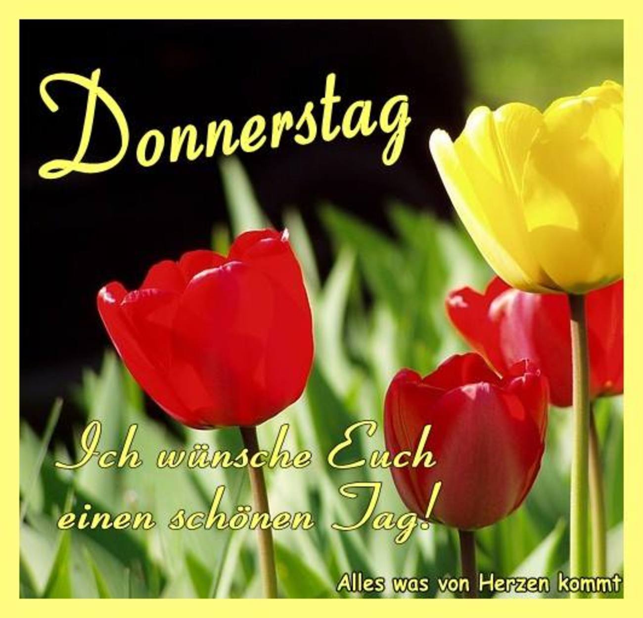 kostenlose donnerstag bilder