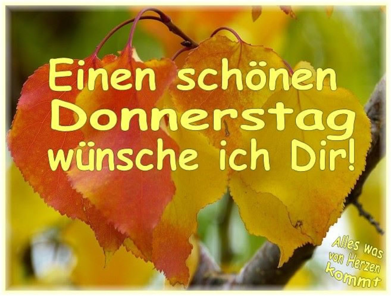 Schonen Donnerstag Bilder Kostenlos 167 Gbpicsbilder Com