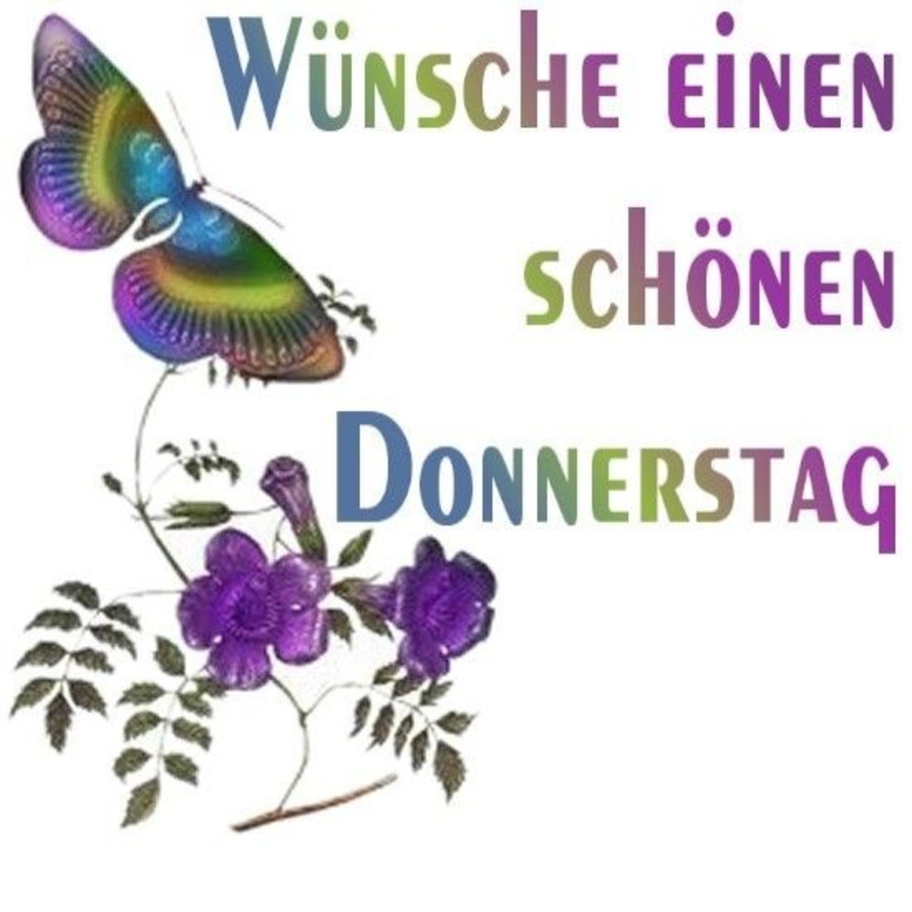 Schonen Donnerstag Bilder Und Spruche Gbpicsbilder Com