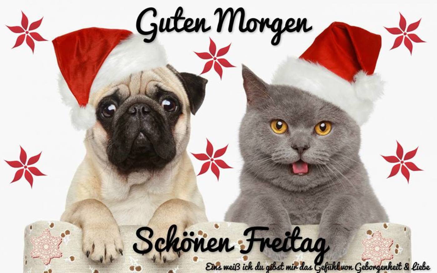 Schönen Freitag Guten Morgen Weihnachten 14.