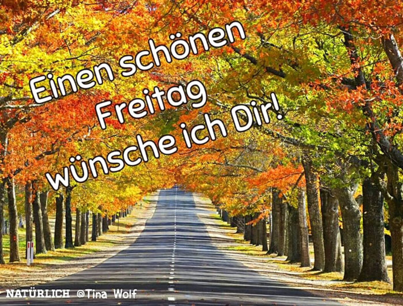 Schonen Freitag Guten Morgen Herbst Gbpicsbilder Com