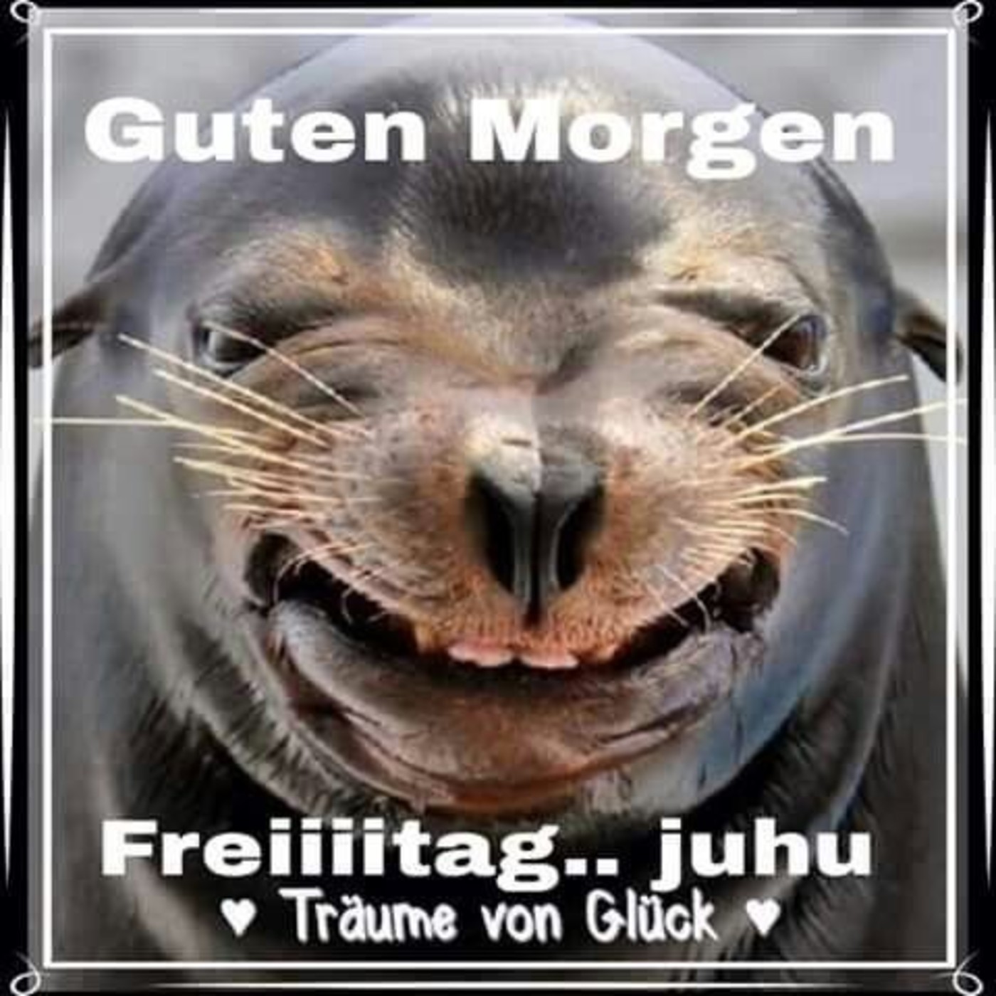 Lustige Guten Morgen Gifs Bilder Kostenmorgenlos Downloaden Food