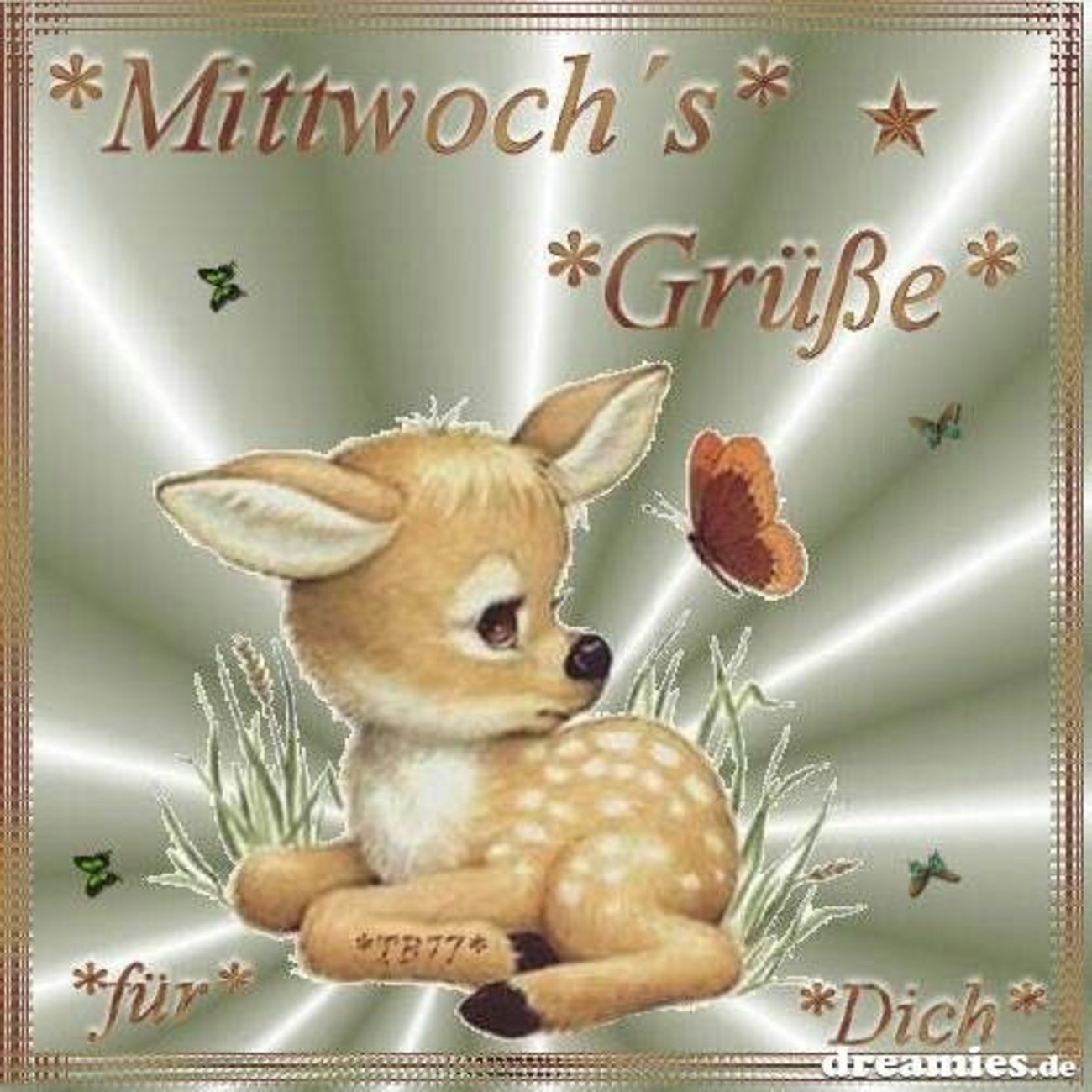 schönen mittwoch bilder