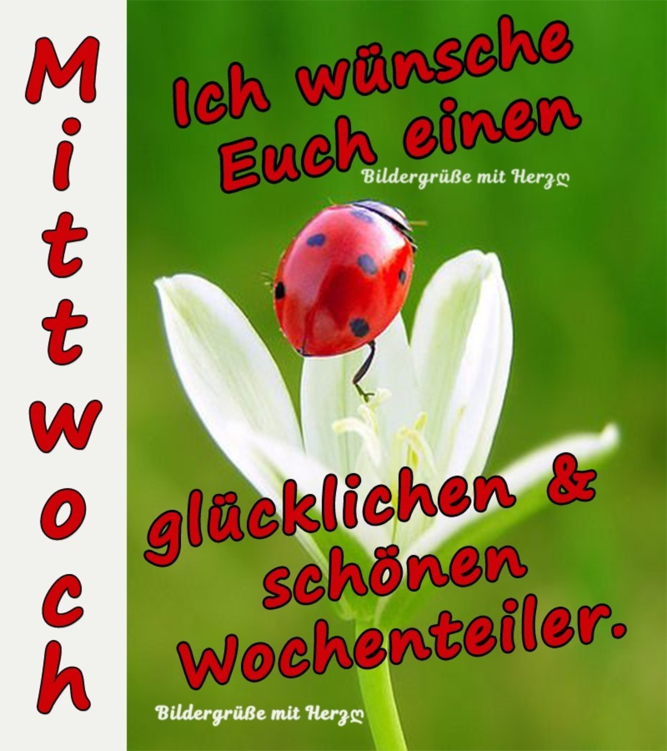 Kostenlose Bilder Guten Morgen Mittwoch: Malen für gute Laune!