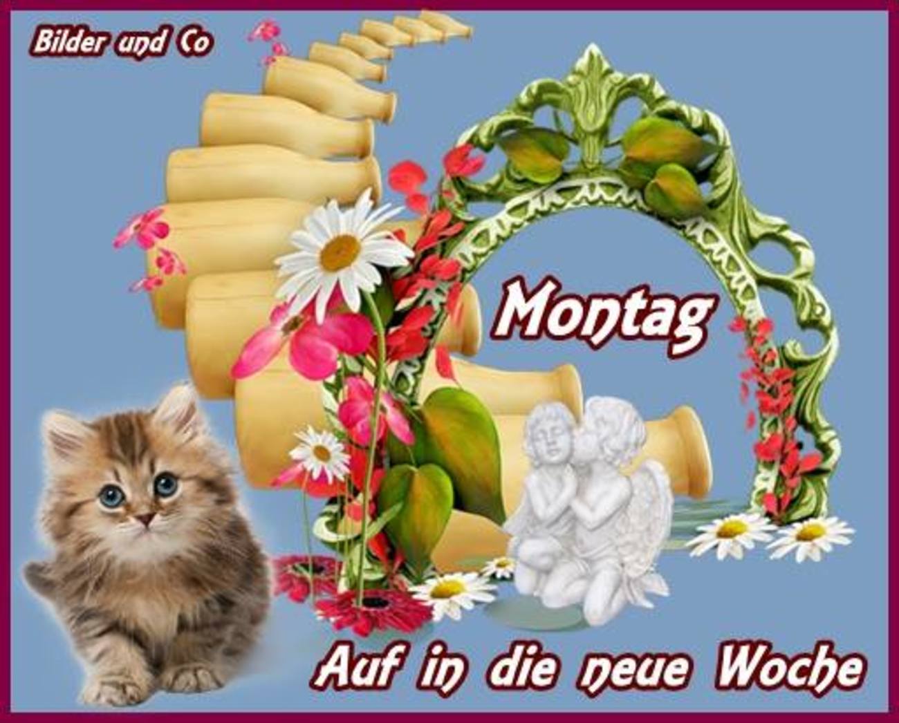 bilder schönen montag