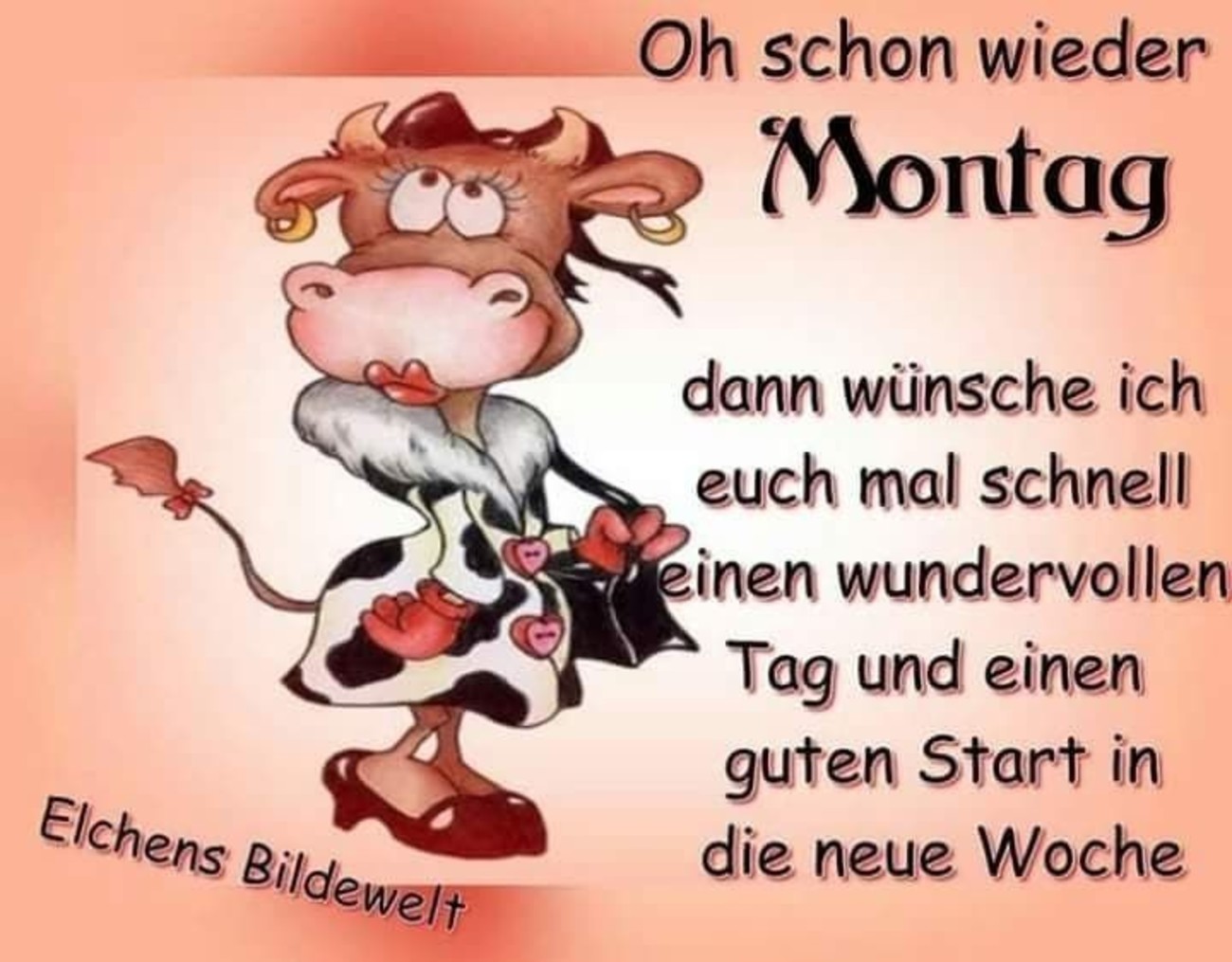 Morgen Schon Wieder Montag Ausgestopftes Tier Lustige Bilder