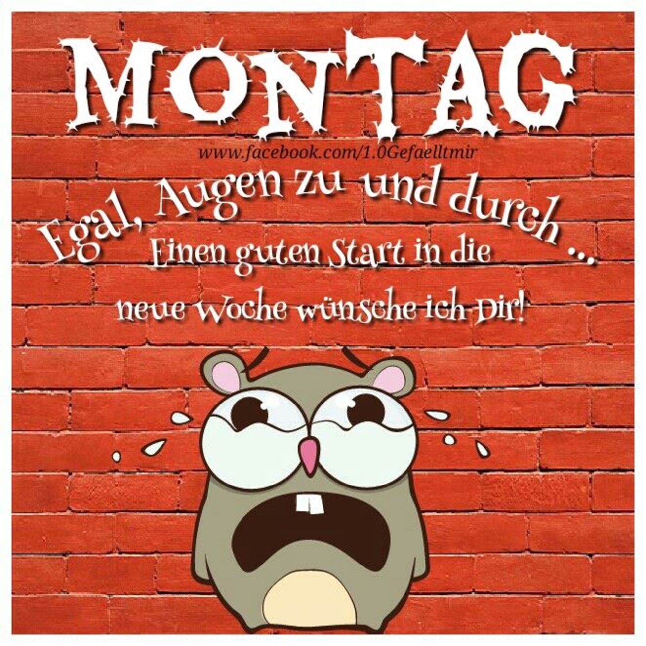 Schonen Montag Bilder Kostenlos 39 Gbpicsbilder Com