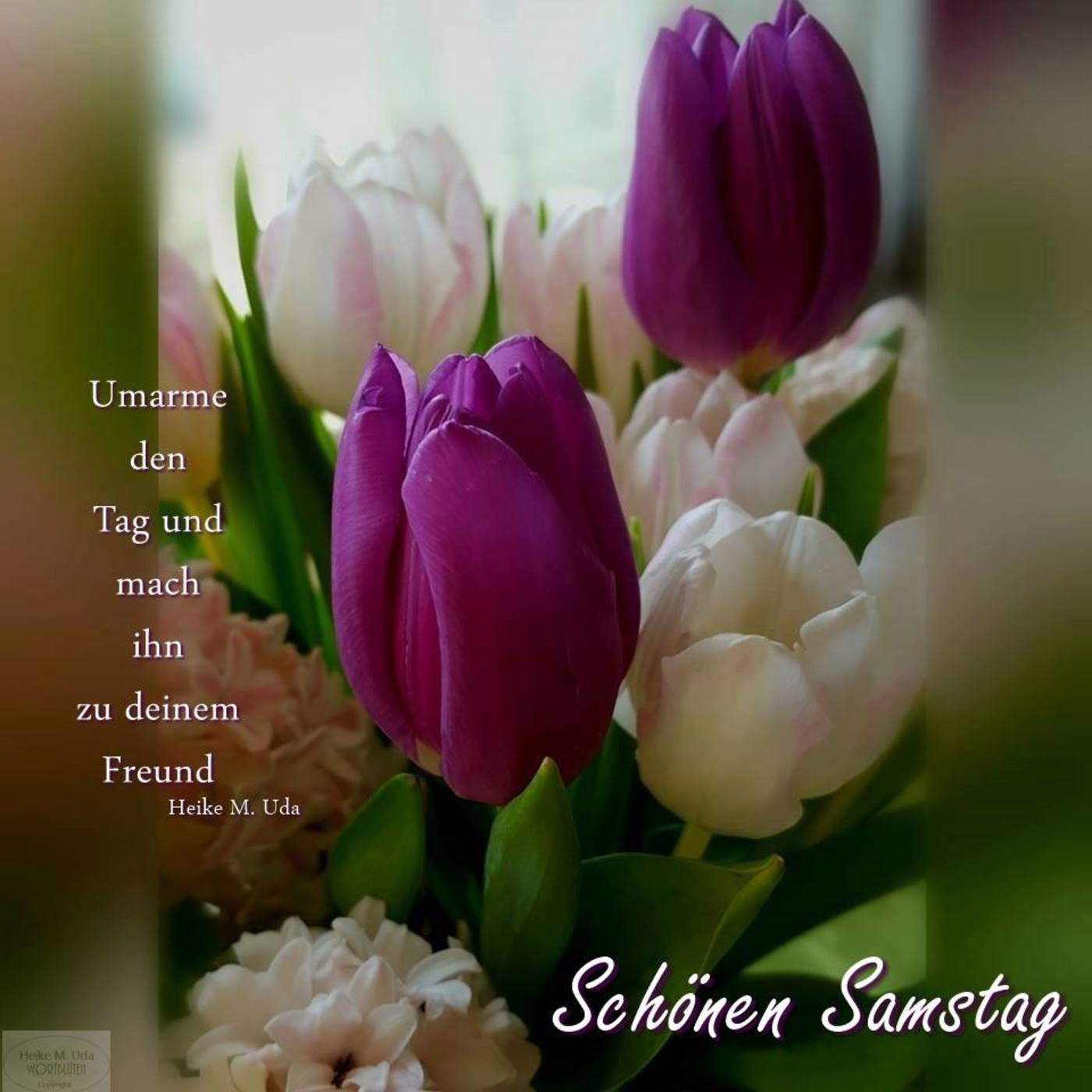 Schonen Samstag Blumen Bilder Gbpicsbilder Com