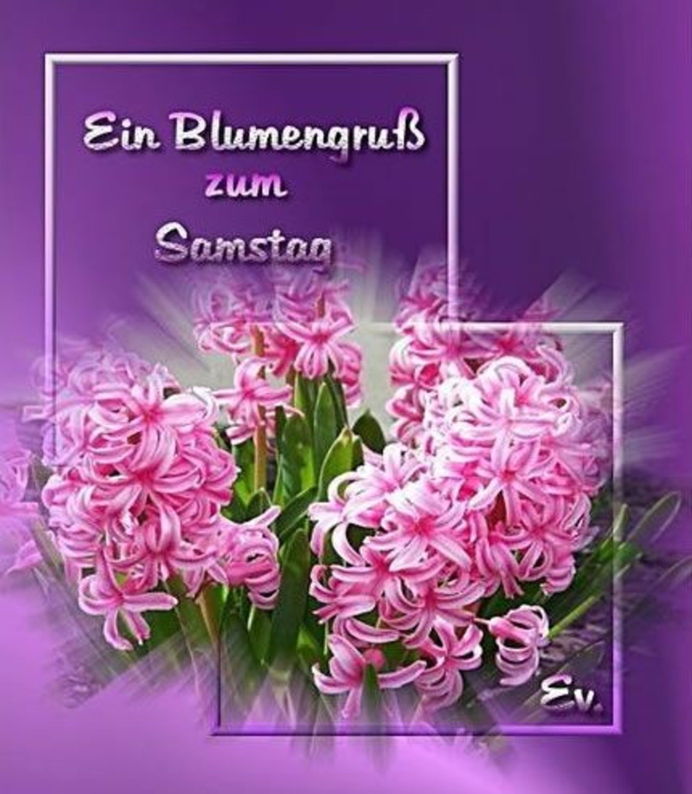 Schonen Samstag Blumen Bilder Gbpicsbilder Com