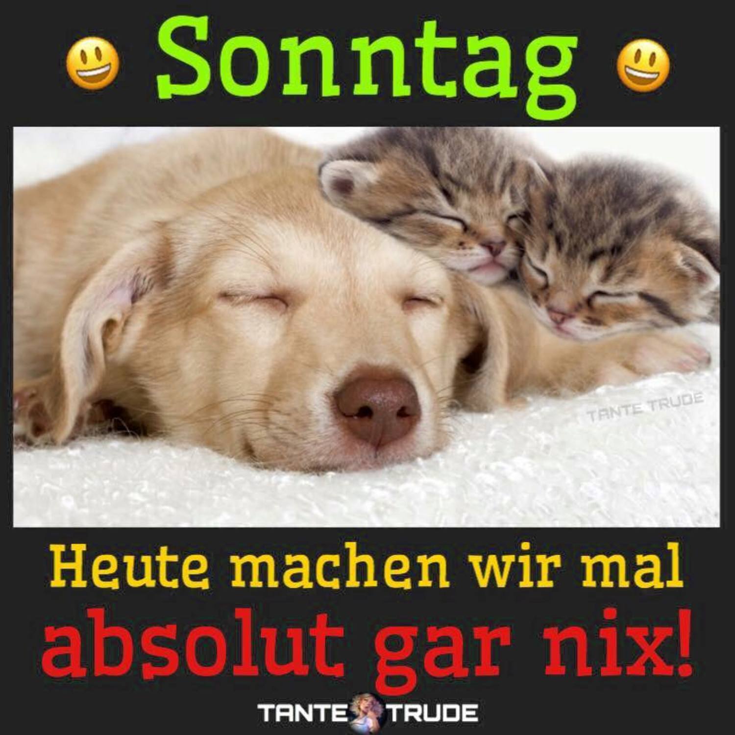 Schönen Sonntag gruß bilder - GBPicsBilder.com