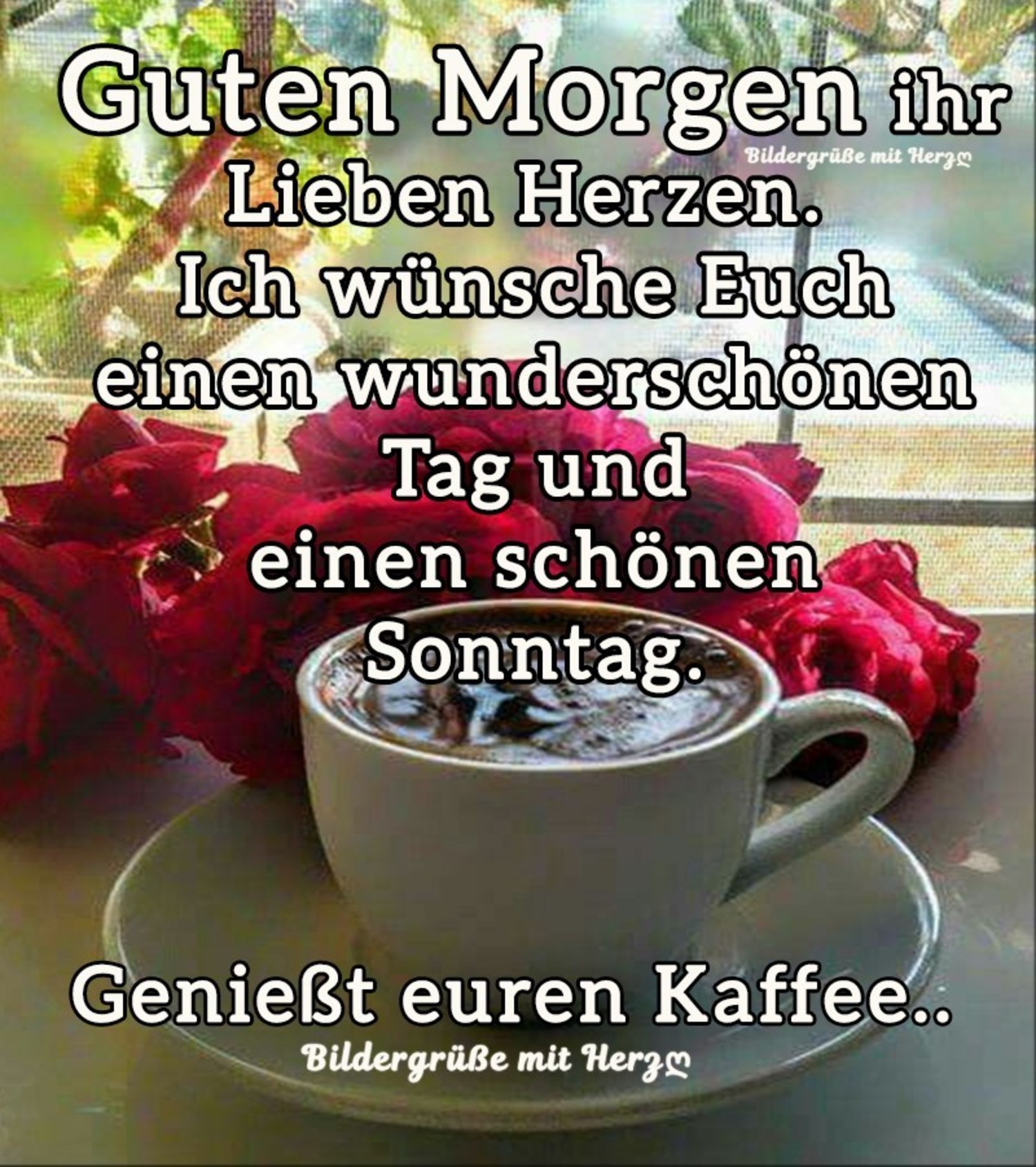 Wunderschönen Guten Guten Morgen Sonntag Bilder Kostenlos.