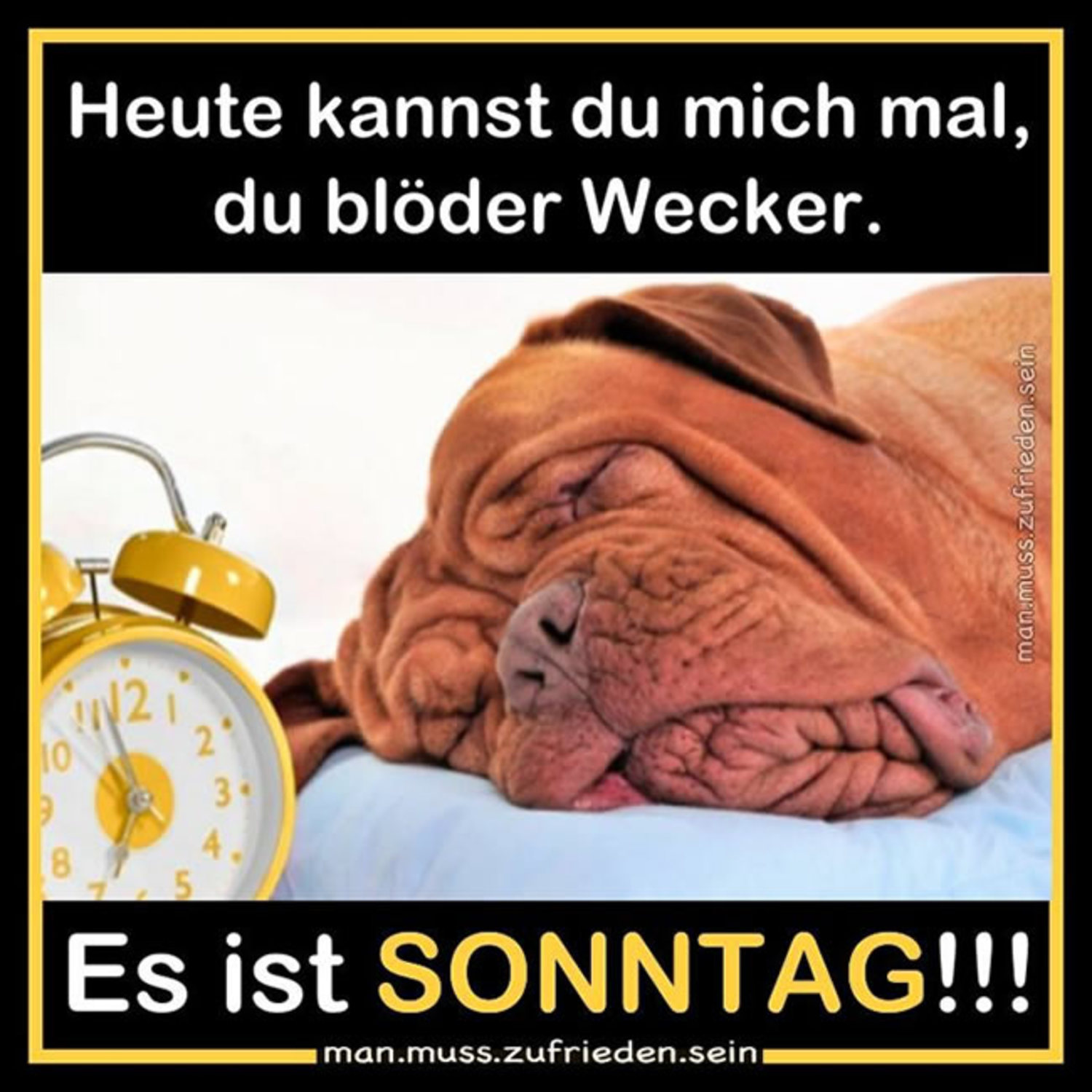 Gute Nacht Bilder Fur Whatsapp Kostenlos Herunterladen Witzige