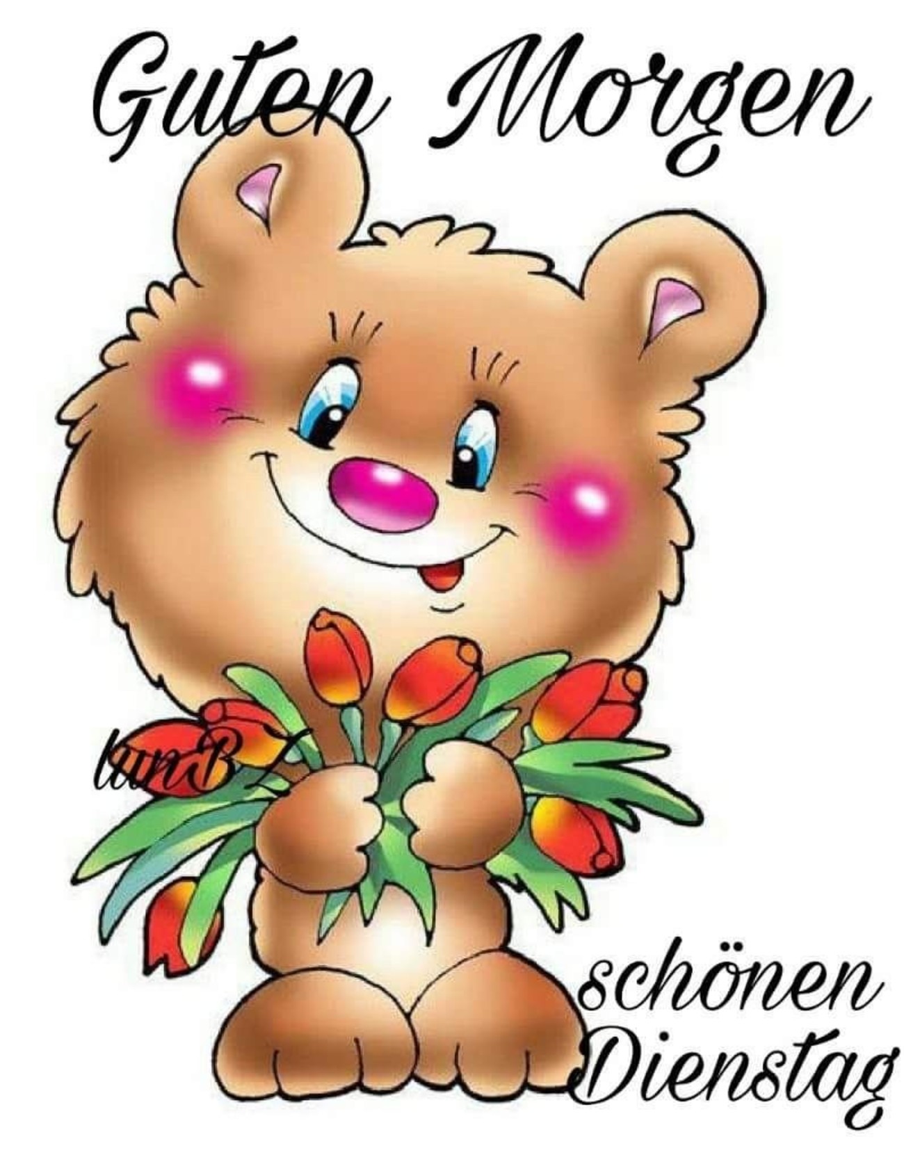 Schönen Dienstag bilder und sprüche