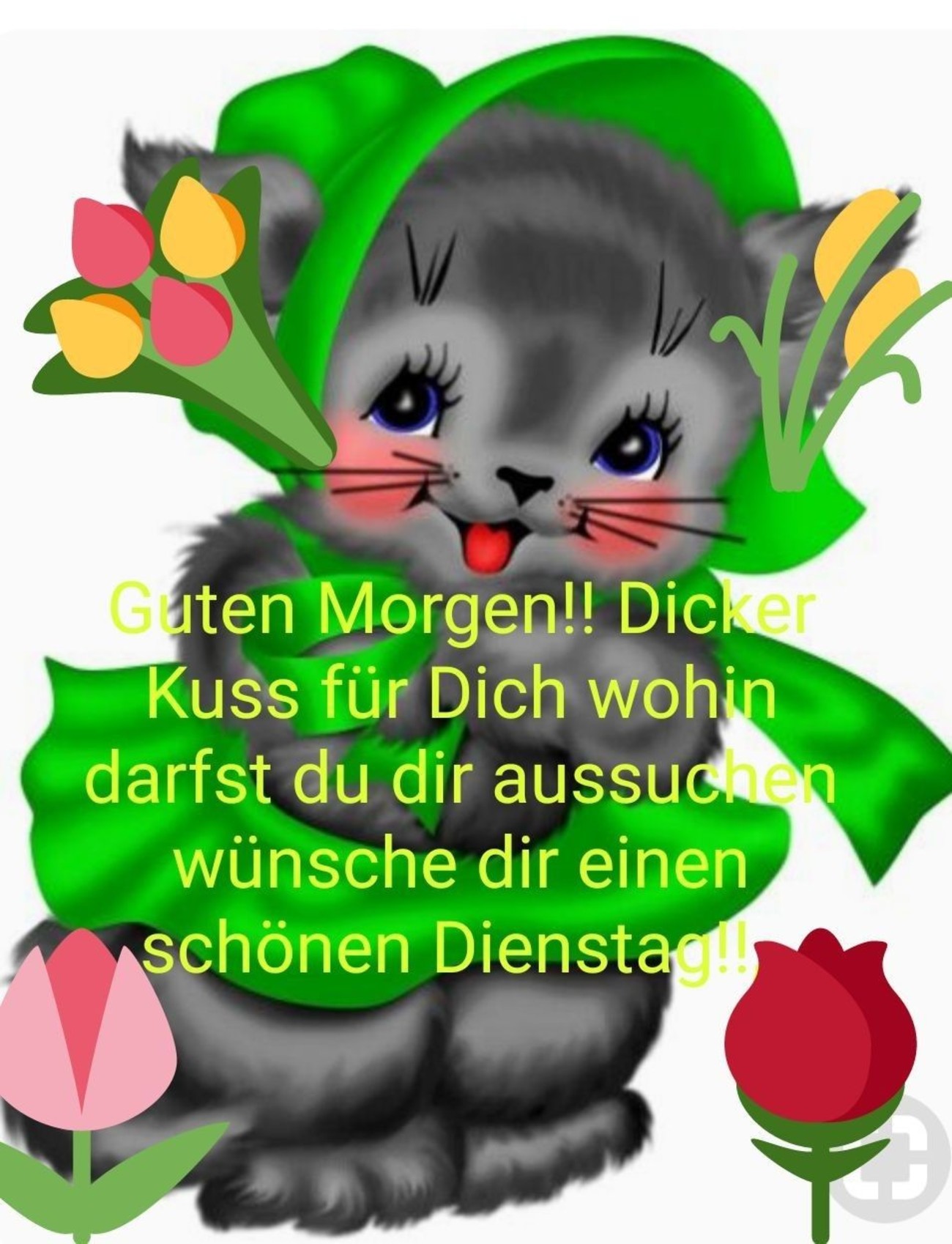 Schönen Dienstag guten bilder