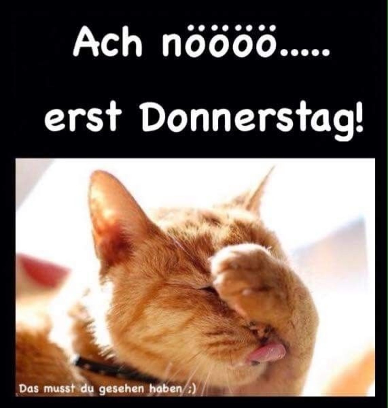 Schönen Donnerstag gb pics