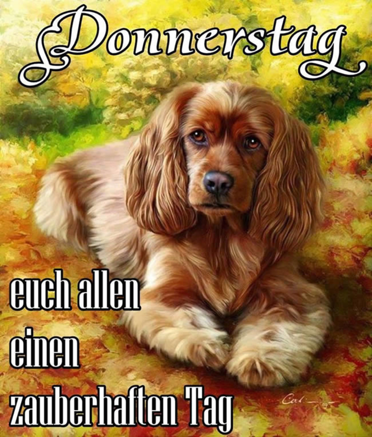 Schönen Donnerstag hund