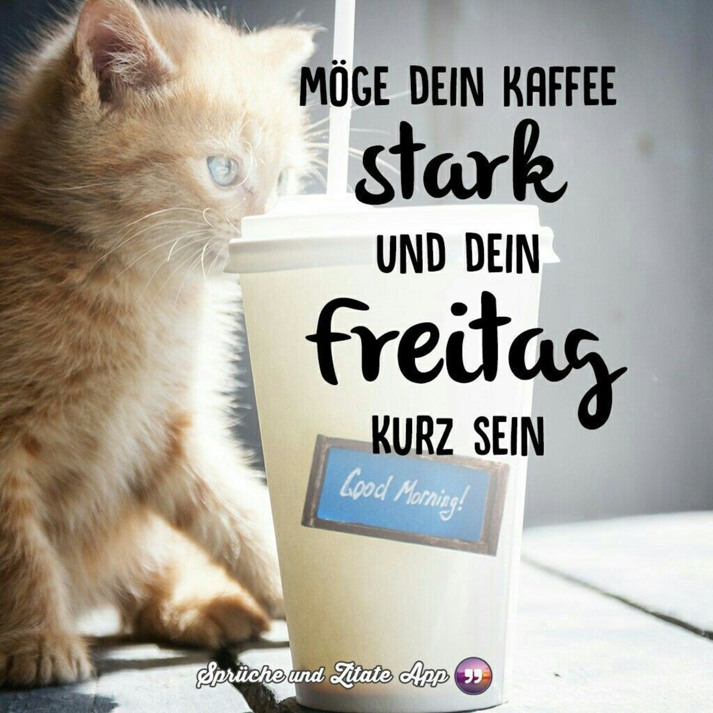 Schönen Freitag bilder und sprüche