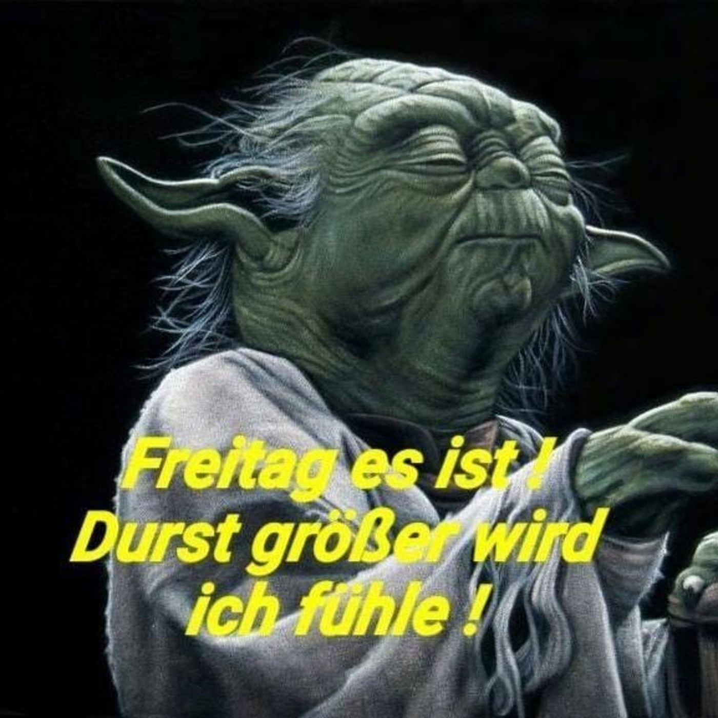 Schönen Freitag lustig kostenlos bilder 53