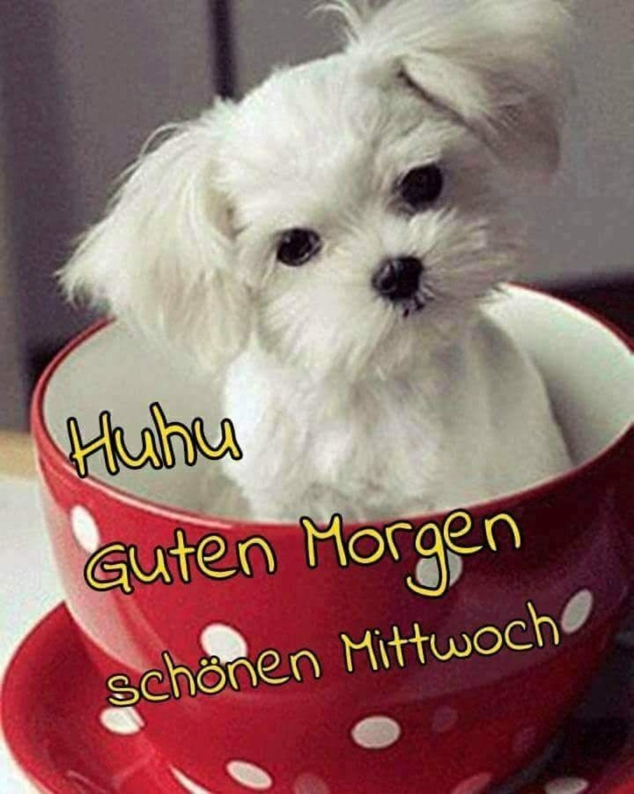 Schönen Mittwoch bilder und sprüche Pinterest