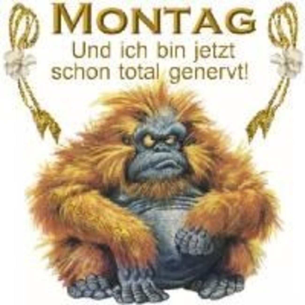 47+ Montag sprueche bilder kostenlos information