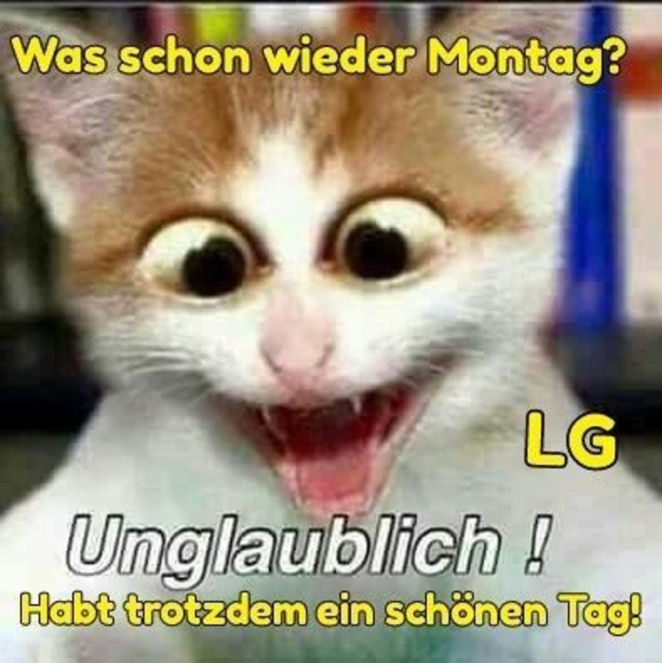 35++ Montag sprueche bilder lustig information