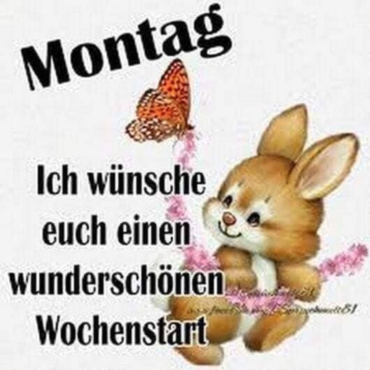 42++ Montags bilder und sprueche information