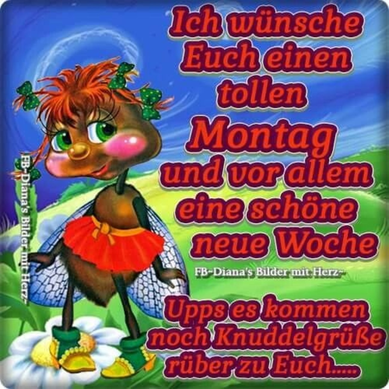 Schönen Montag 50
