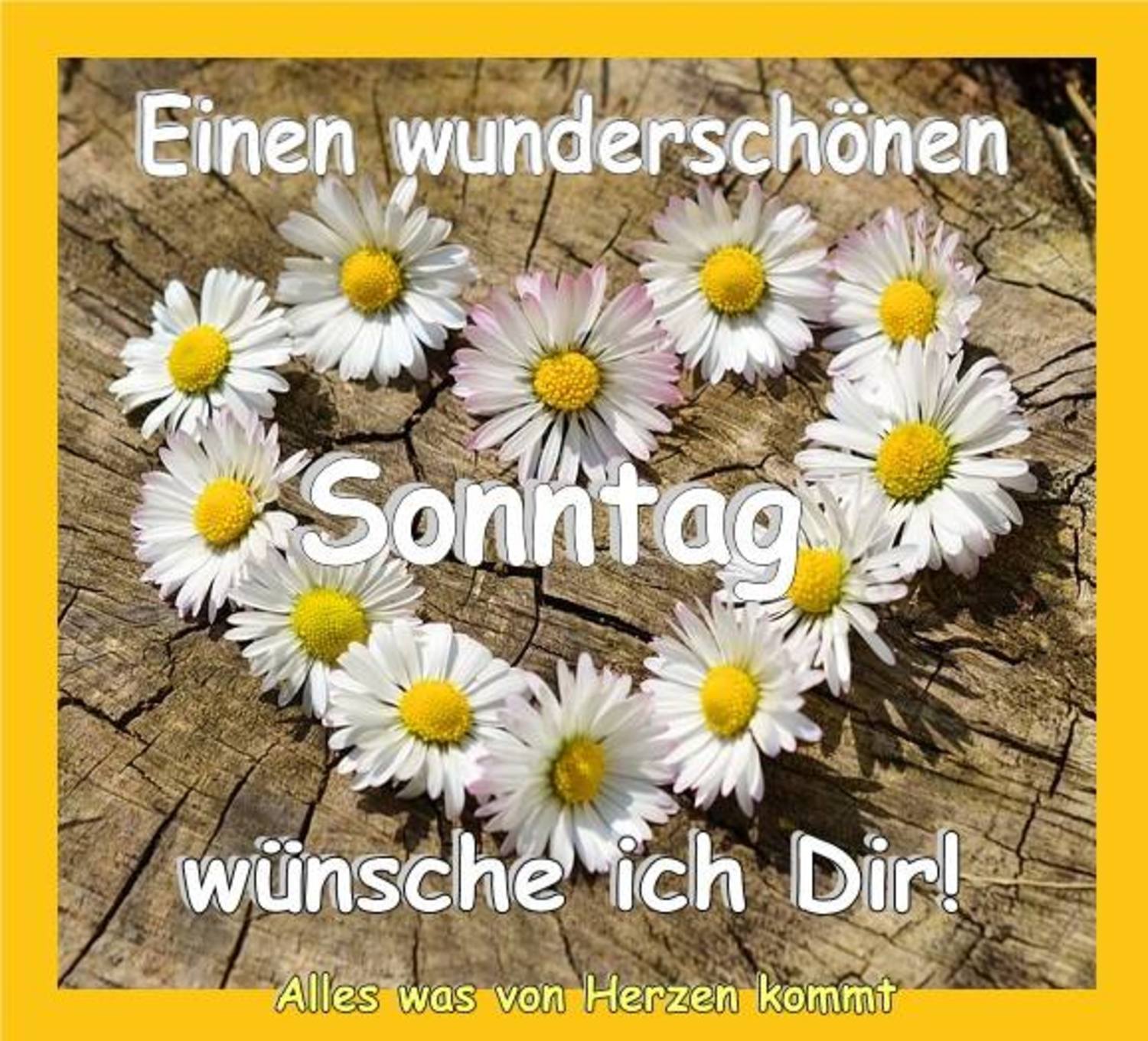 50+ Schoener spruch fuer facebook bild info