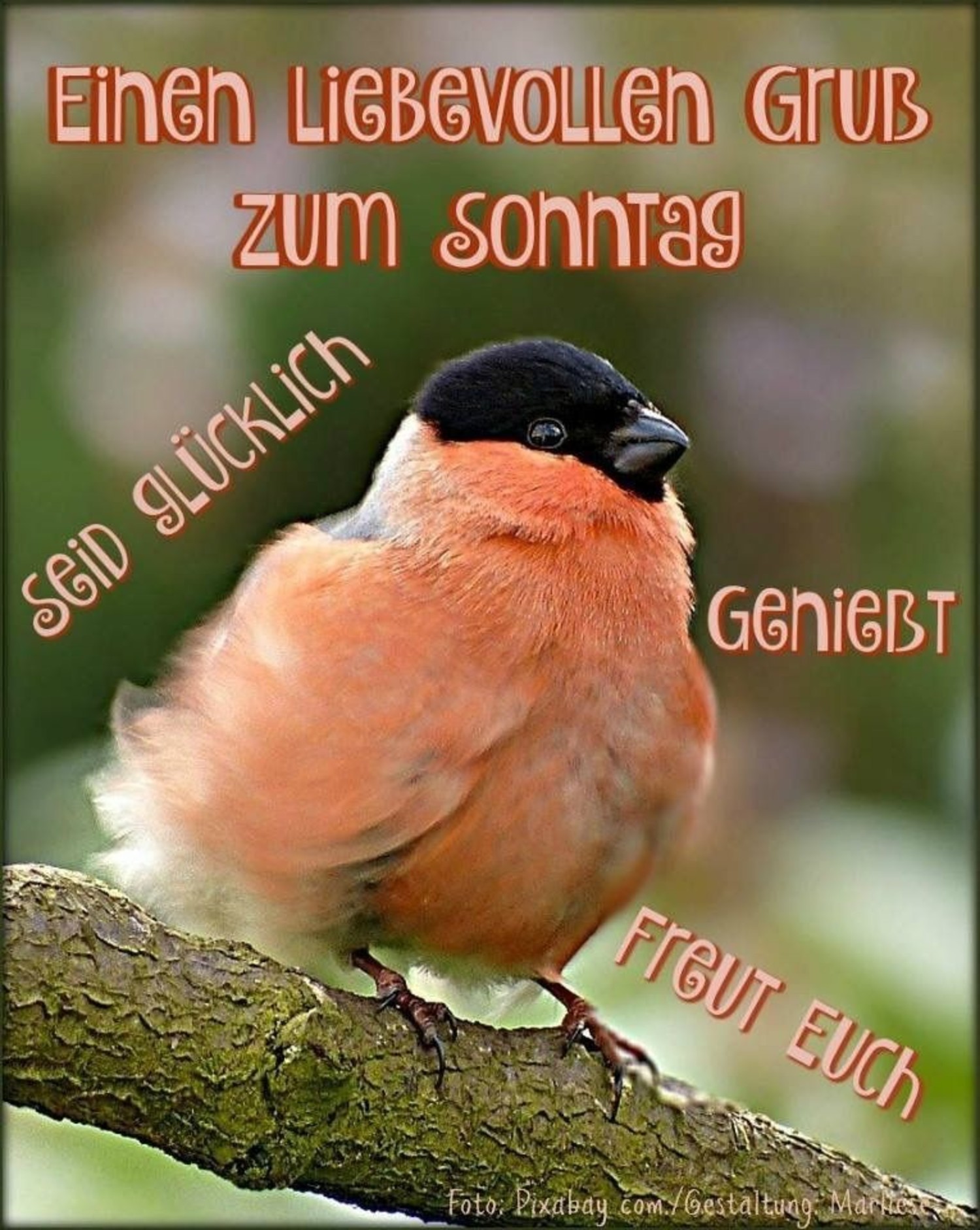 35+ Sprueche zum sonntag mit bild info