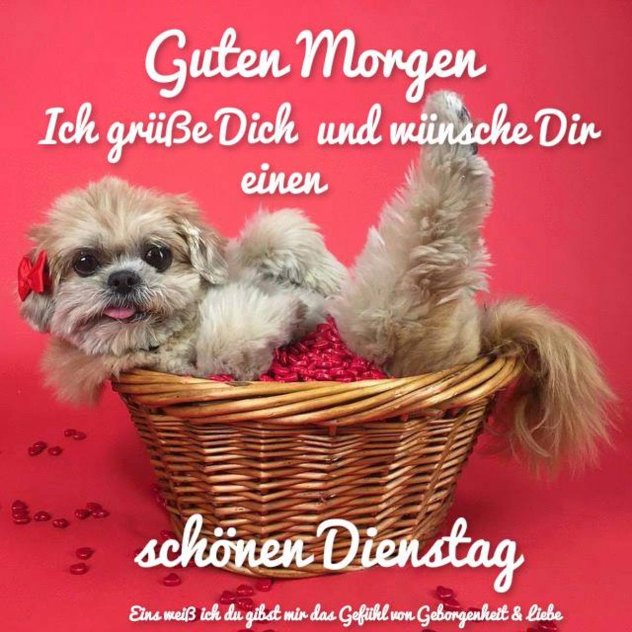 Sch nen Dienstag Bilder 142 GBPicsBilder