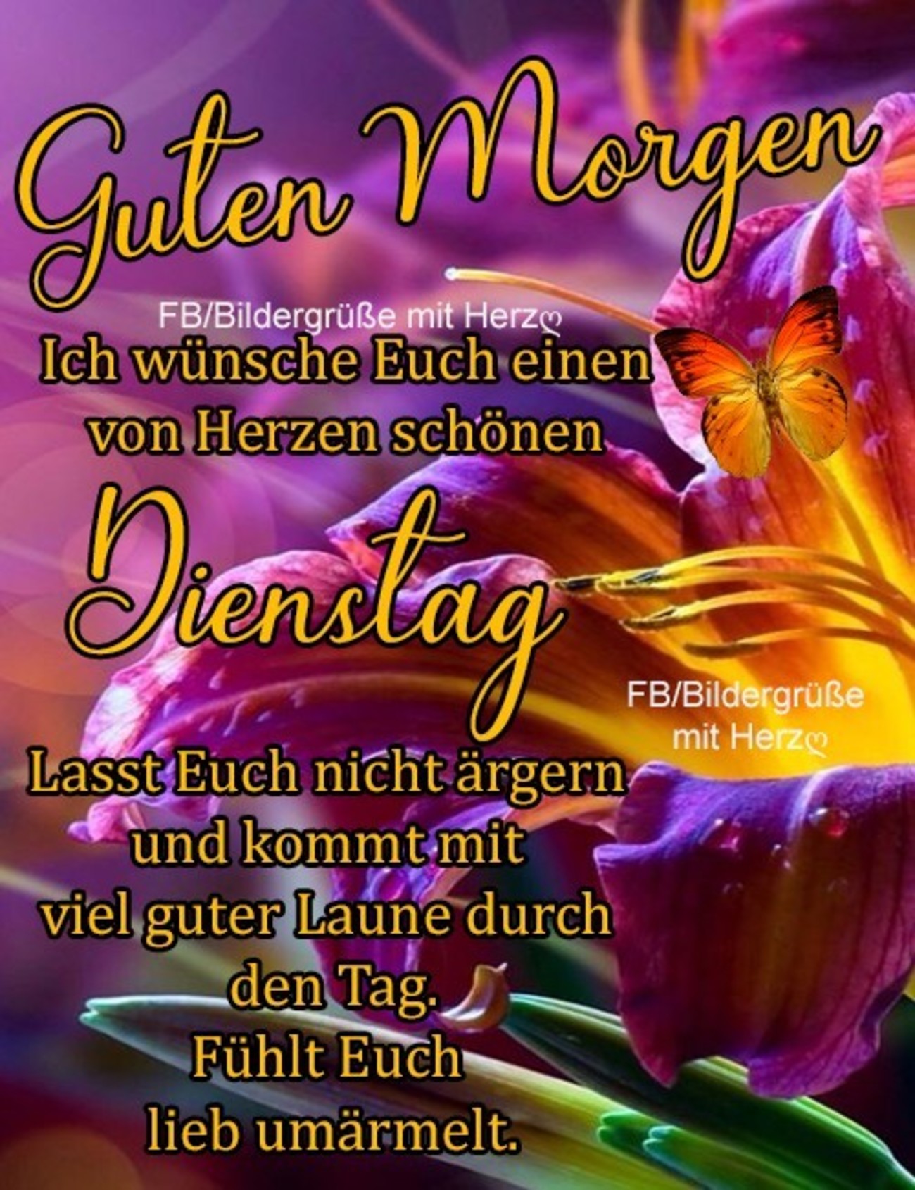 Schönen Dienstag bilder