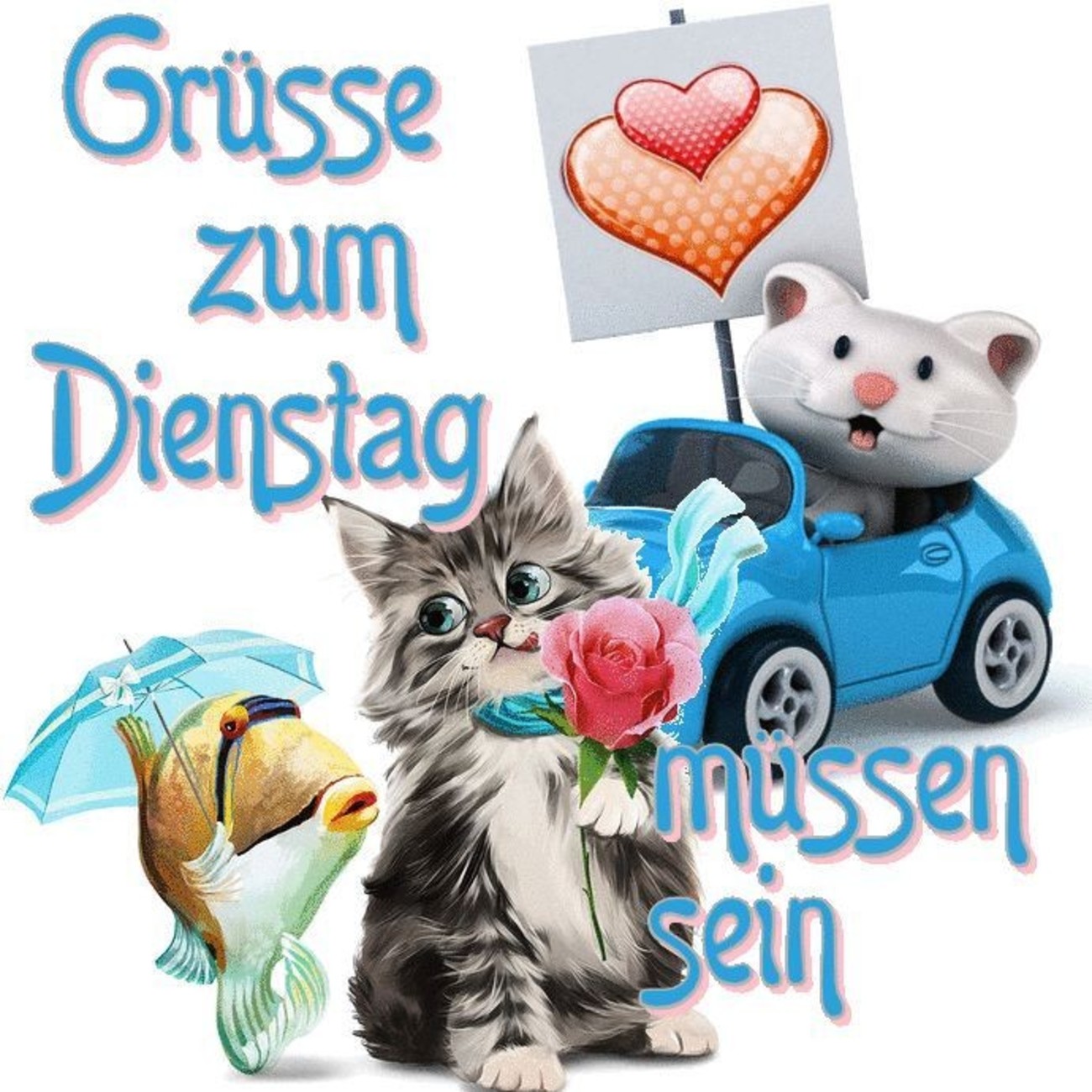Sprüche Für Dienstag Lustige Sprüche