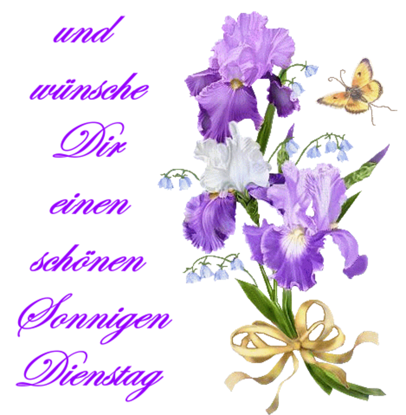 Schönen Dienstag bilder kostenlos 27