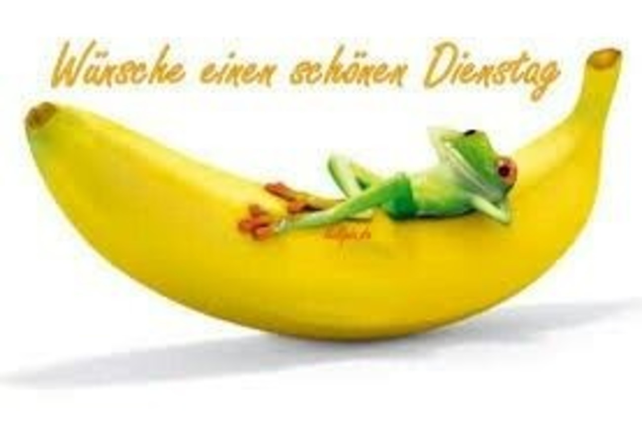 Schönen Dienstag bilder kostenlos 29