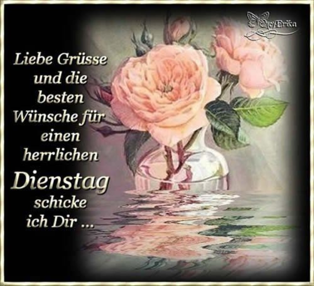 Schönen Dienstag bilder kostenlos 30