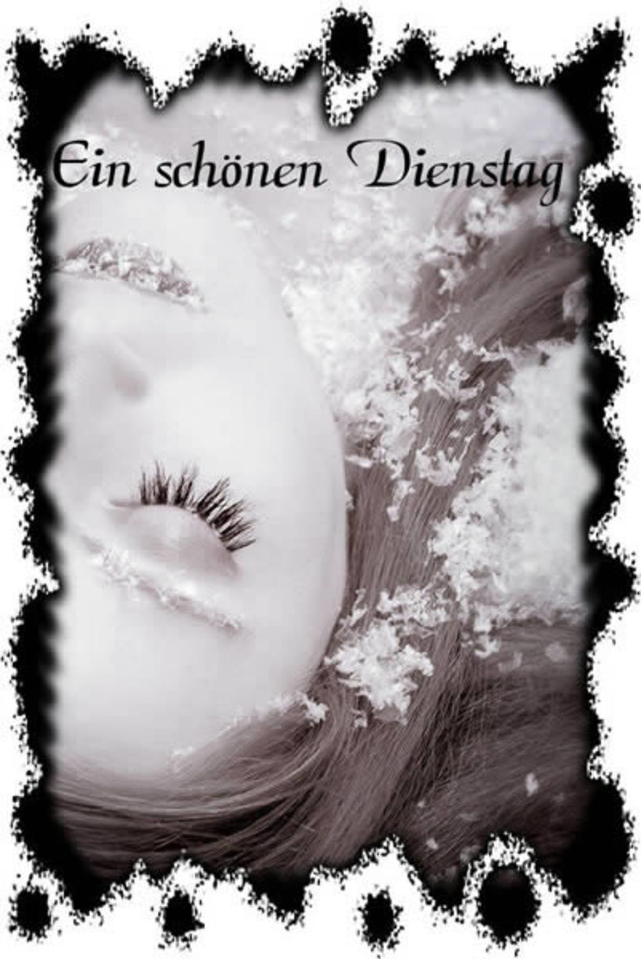Schönen Dienstag bilder kostenlos für Facebook 32