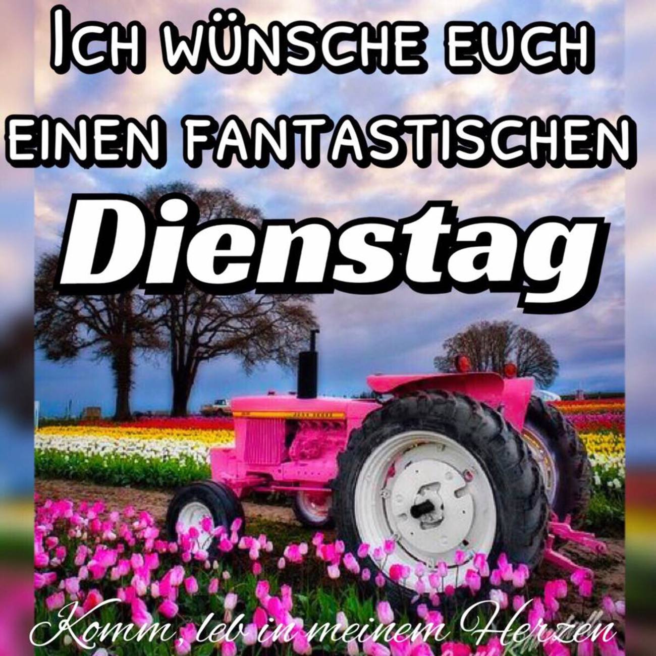 Schönen Dienstag bilder kostenlos für Facebook 33