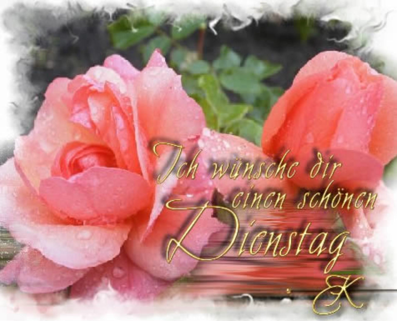 Schönen Dienstag bilder kostenlos für Facebook 4