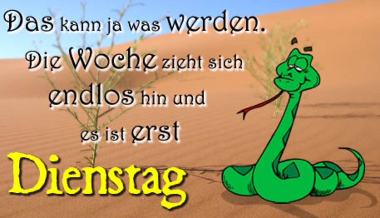 Schönen Dienstag bilder kostenlos für WhatsApp 45