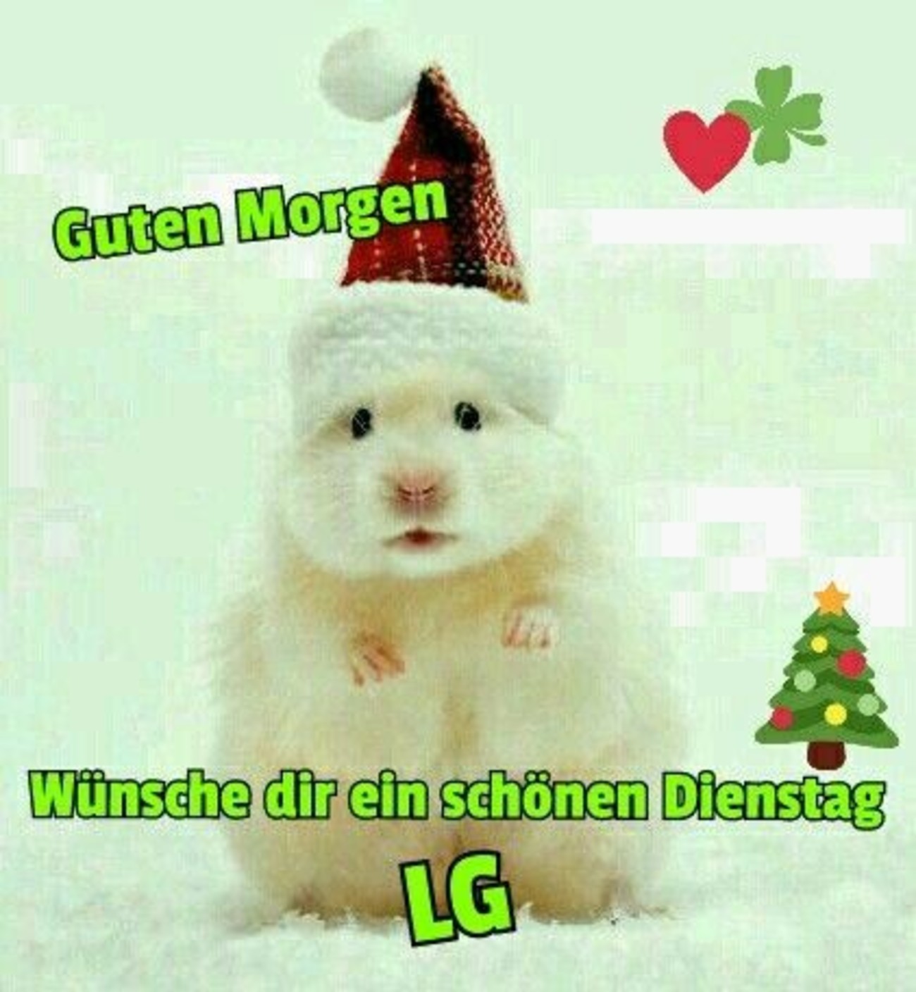 Schönen Dienstag bilder kostenlos für WhatsApp 50