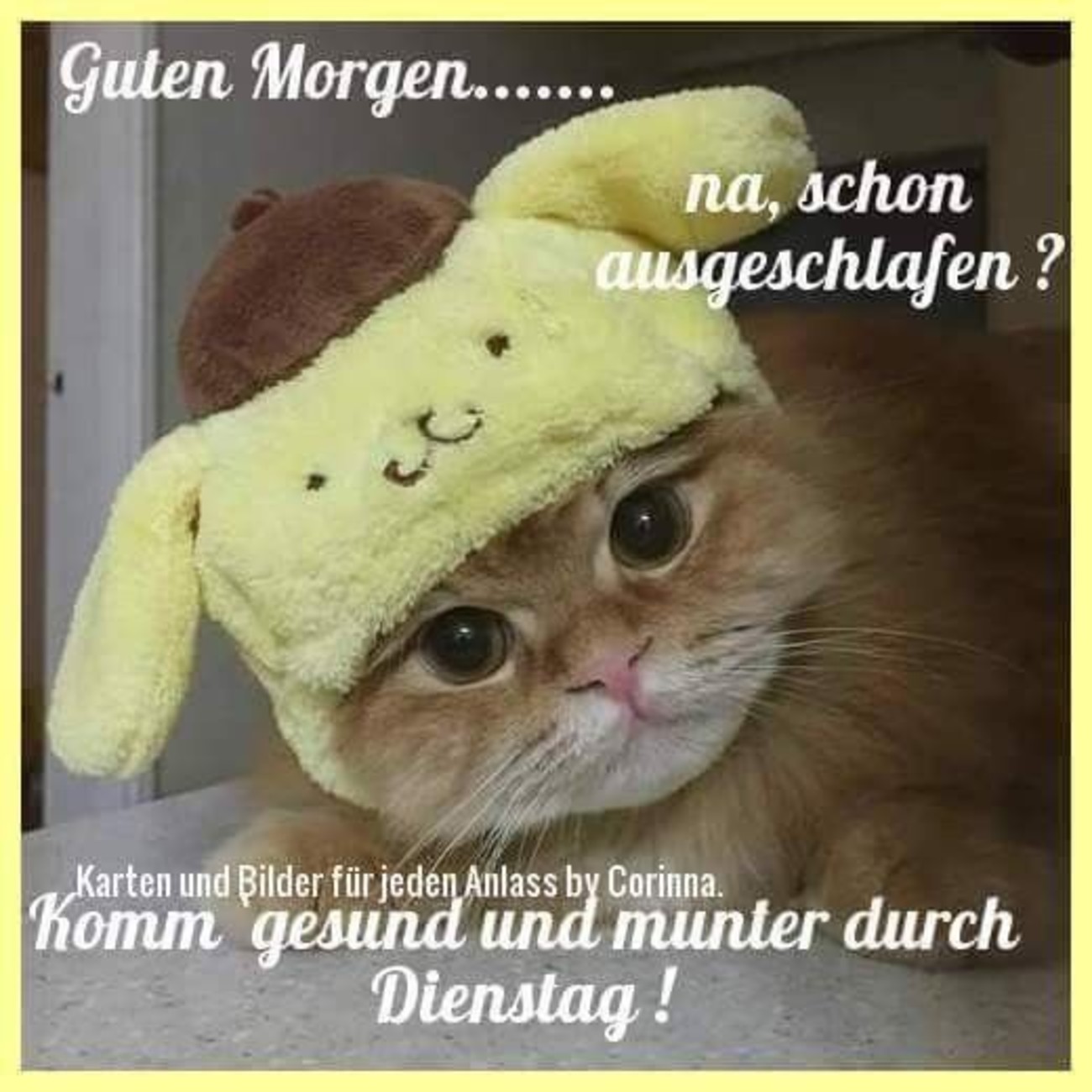 Schönen Dienstag bilder kostenlos für WhatsApp 54