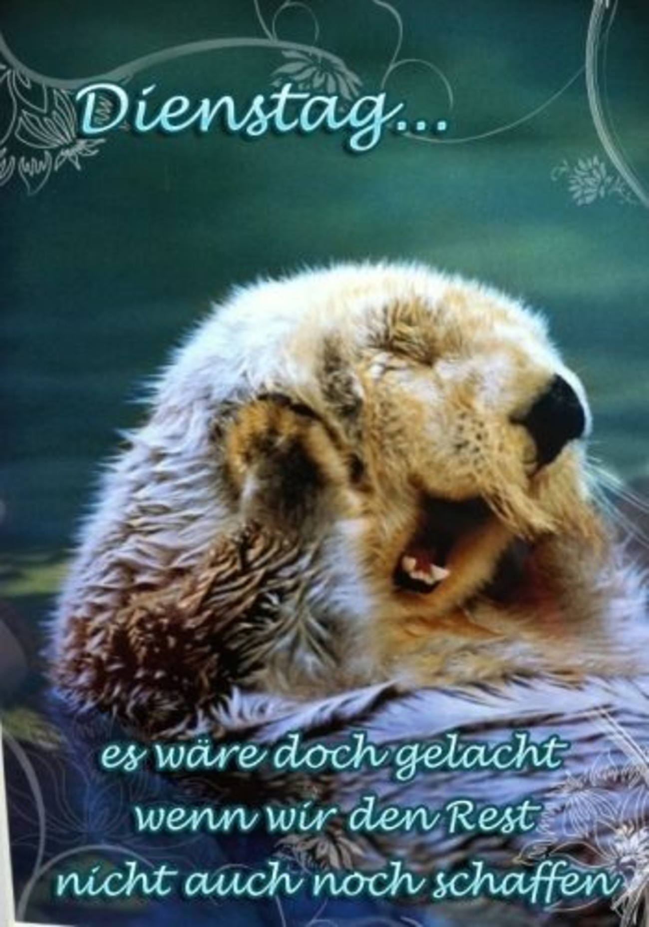 Sch nen Dienstag Bilder Spr che 73 GBPicsBilder