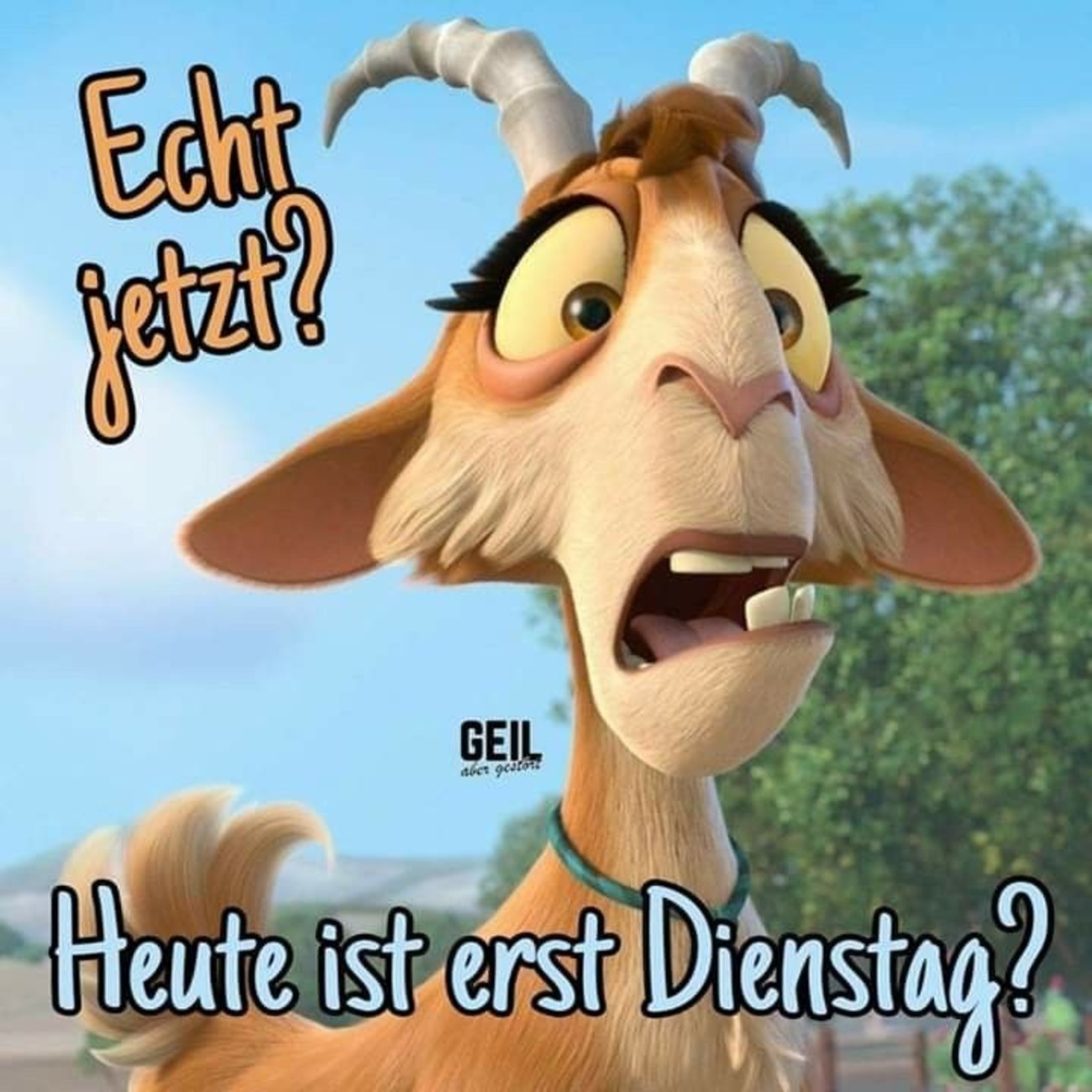 Schönen Dienstag bilder und sprüche
