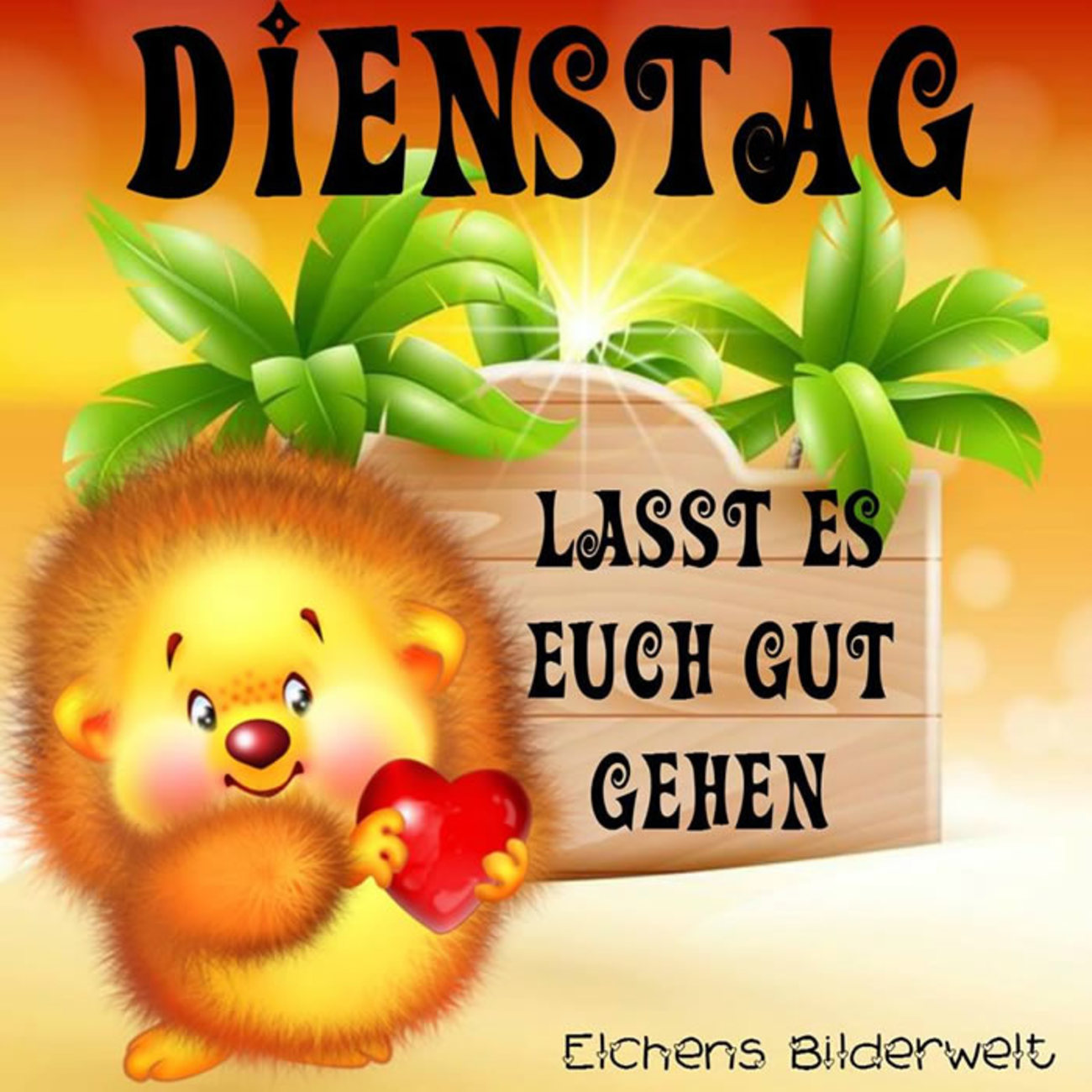Schönen Dienstag fotos 183