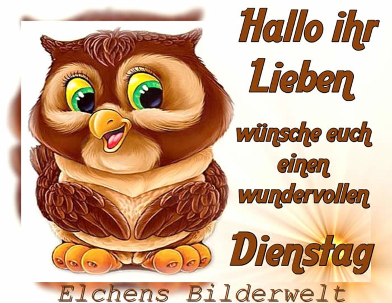 Sprüche Für Dienstag Lustige Sprüche