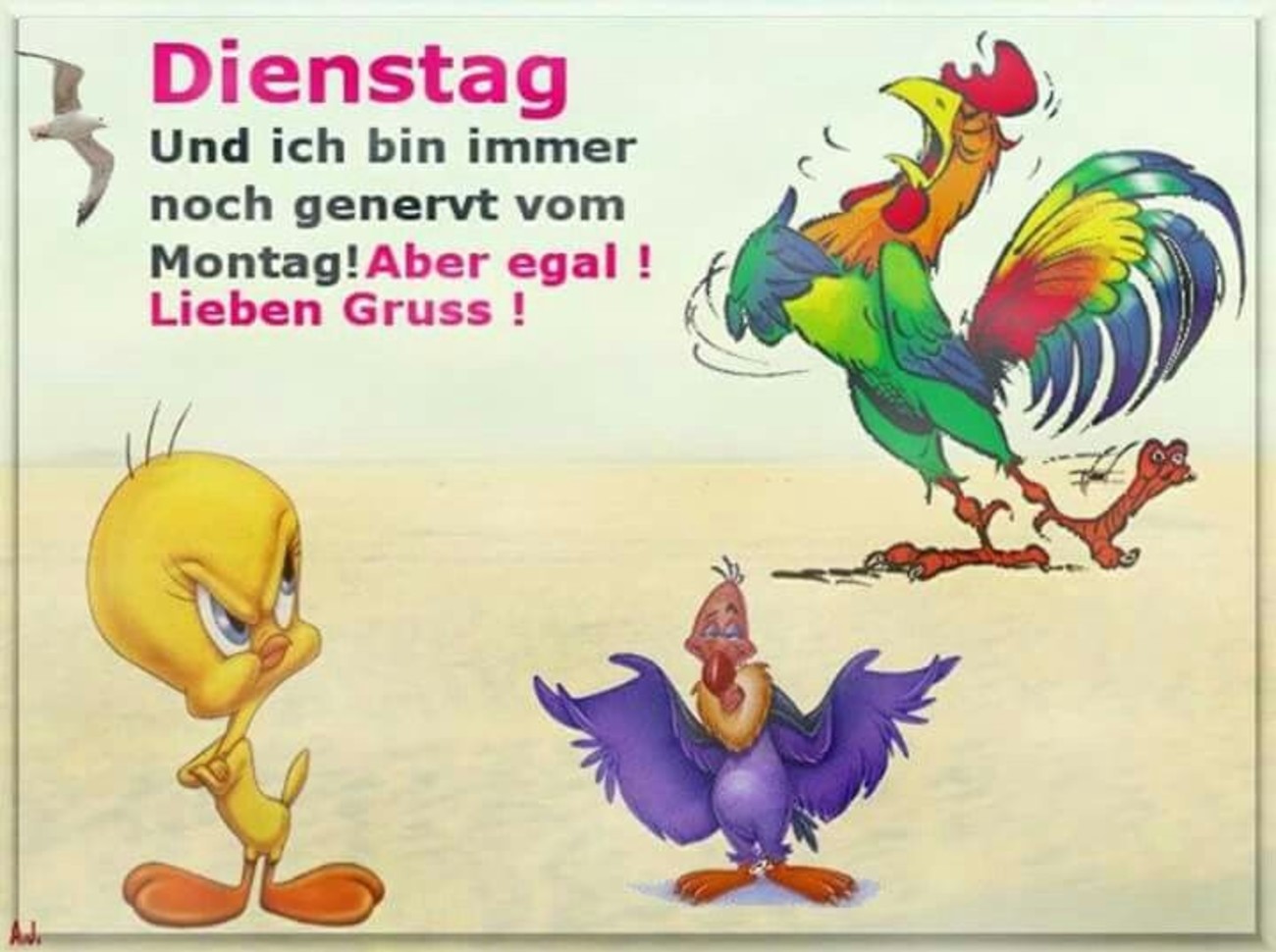 Schönen Dienstag kostenlos bilder 152